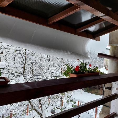 Holiday House Văliug Esterno foto