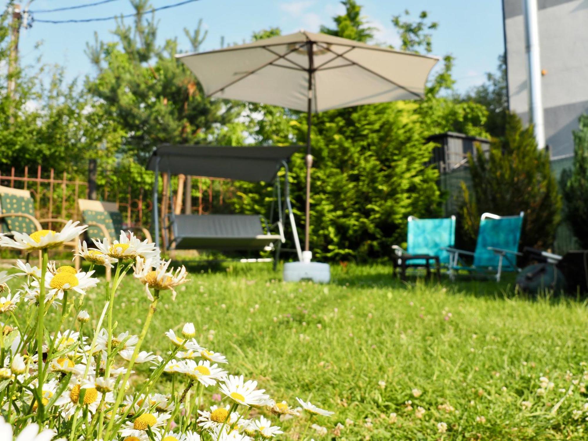 Holiday House Văliug Esterno foto