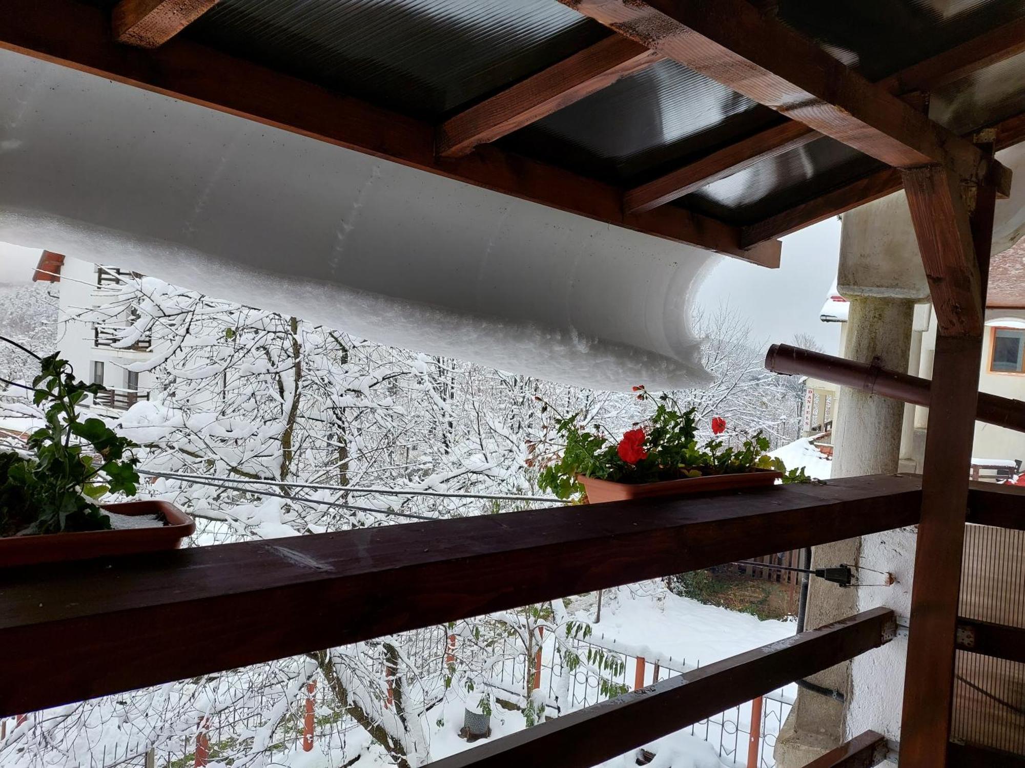 Holiday House Văliug Esterno foto